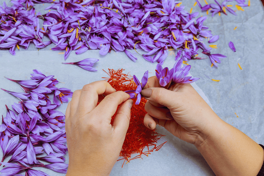 Natural Remedies vs. Traditional Medication for Childhood ADHD: The Magic of Saffron