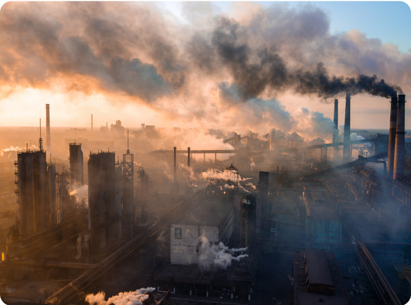 🌫 Chronic Immune overload