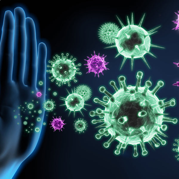 🧩 Fragmented Support