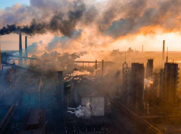 Heavy Metals