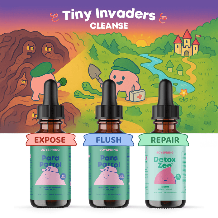 Tiny Invaders | Starter Pack