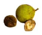 Black Walnut