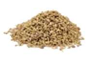 Anise Seed